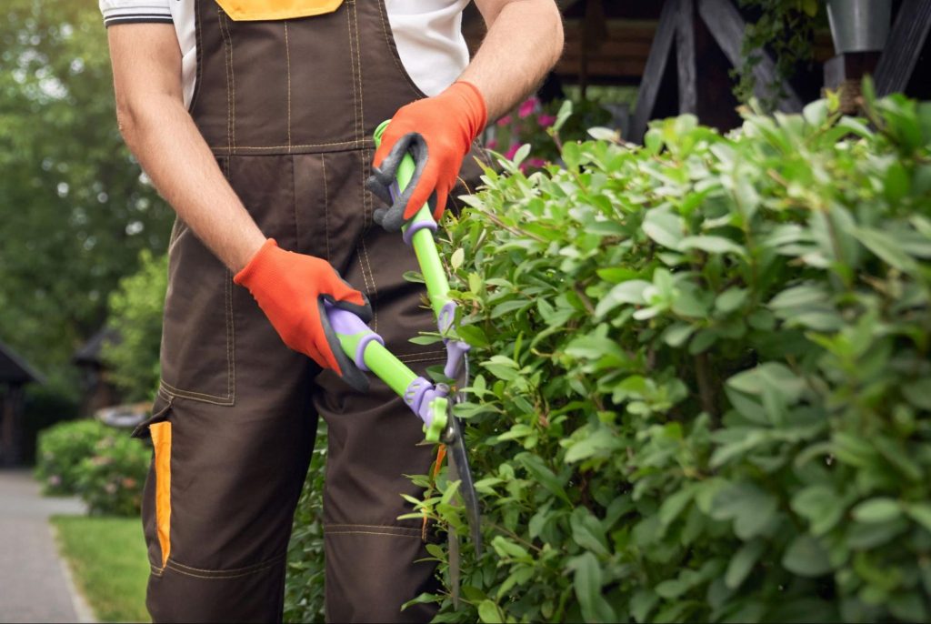 Terceirizar o serviço de jardinagem